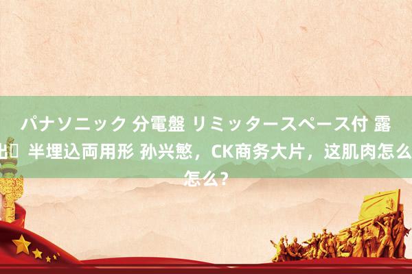 パナソニック 分電盤 リミッタースペース付 露出・半埋込両用形 孙兴慜,CK商务大片,这肌肉怎么?