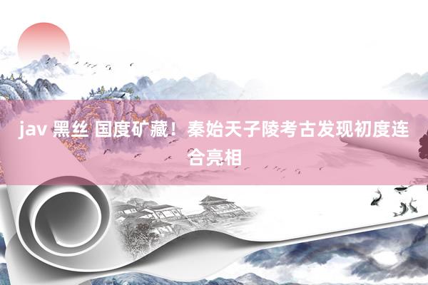 jav 黑丝 国度矿藏！秦始天子陵考古发现初度连合亮相