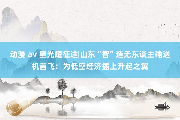 动漫 av 星光耀征途|山东“智”造无东谈主输送机首飞：为低空经济插上升起之翼