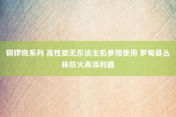 铜锣烧系列 高性能无东谈主机参预使用 罗甸县丛林防火再添利器