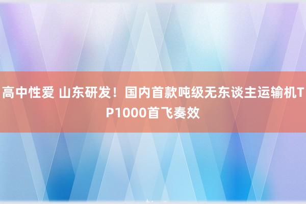 高中性爱 山东研发！国内首款吨级无东谈主运输机TP1000首飞奏效