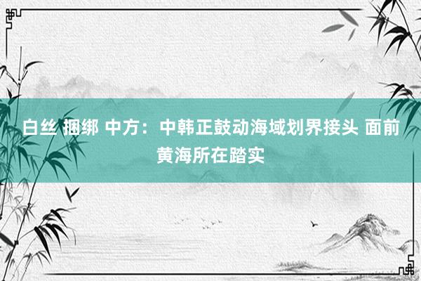 白丝 捆绑 中方：中韩正鼓动海域划界接头 面前黄海所在踏实