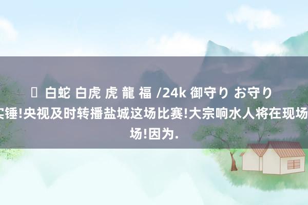 ✨白蛇 白虎 虎 龍 福 /24k 御守り お守り 官方实锤!央视及时转播盐城这场比赛!大宗响水人将在现场!因为.