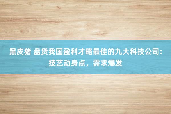 黑皮猪 盘货我国盈利才略最佳的九大科技公司：技艺动身点，需求爆发