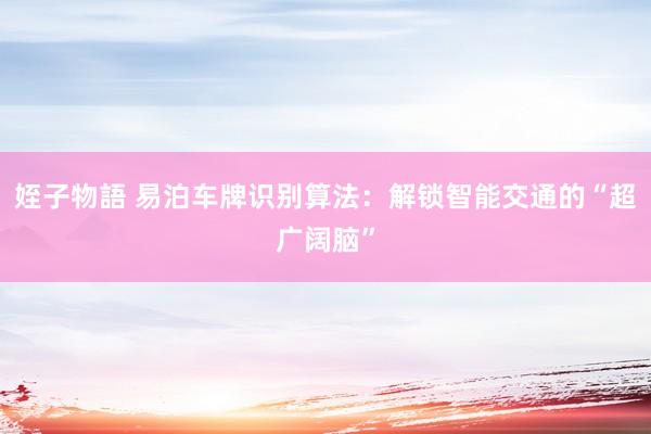 姪子物語 易泊车牌识别算法：解锁智能交通的“超广阔脑”