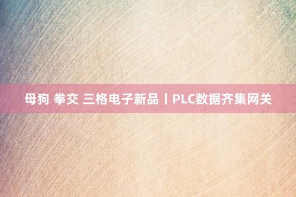 母狗 拳交 三格电子新品丨PLC数据齐集网关