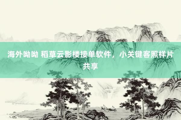 海外呦呦 稻草云影楼接单软件，小关键客照样片共享