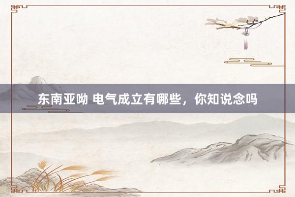 东南亚呦 电气成立有哪些，你知说念吗
