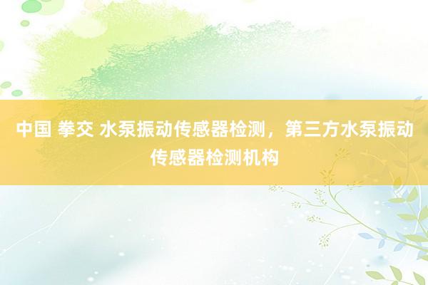 中国 拳交 水泵振动传感器检测，第三方水泵振动传感器检测机构