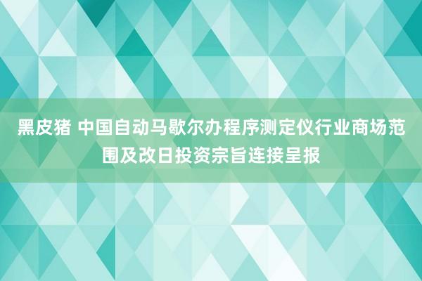 黑皮猪 中国自动马歇尔办程序测定仪行业商场范围及改日投资宗旨连接呈报