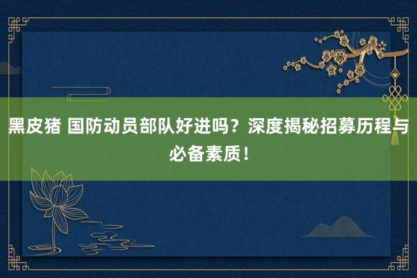黑皮猪 国防动员部队好进吗？深度揭秘招募历程与必备素质！