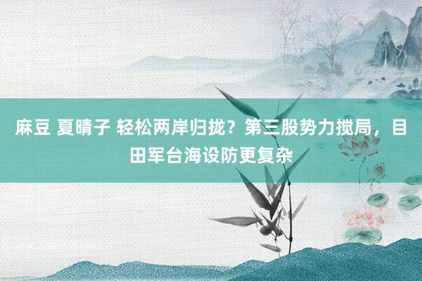 麻豆 夏晴子 轻松两岸归拢？第三股势力搅局，目田军台海设防更复杂