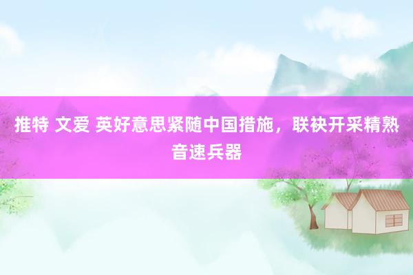 推特 文爱 英好意思紧随中国措施，联袂开采精熟音速兵器