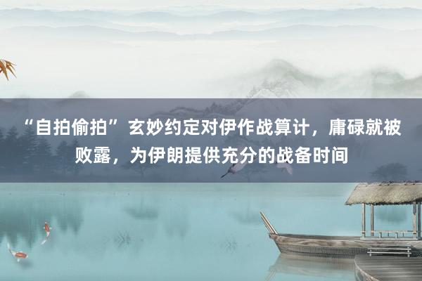 “自拍偷拍” 玄妙约定对伊作战算计，庸碌就被败露，为伊朗提供充分的战备时间