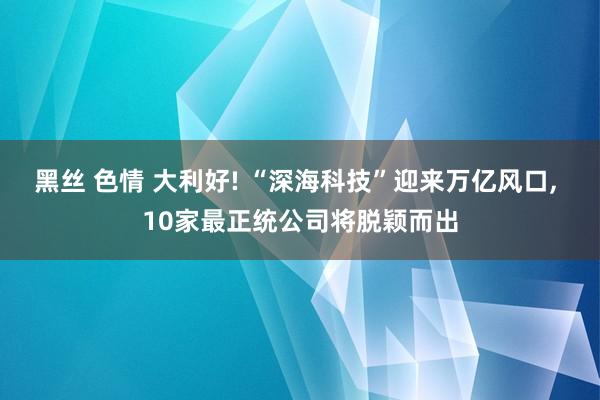 黑丝 色情 大利好! “深海科技”迎来万亿风口, 10家最正统公司将脱颖而出