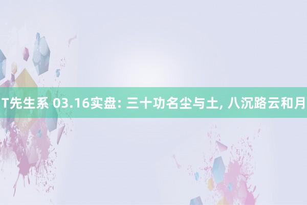 T先生系 03.16实盘: 三十功名尘与土, 八沉路云和月