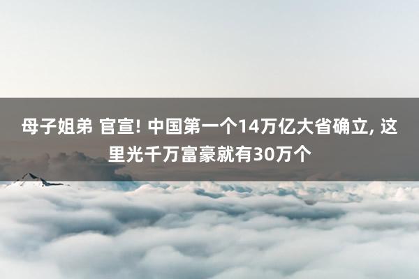 母子姐弟 官宣! 中国第一个14万亿大省确立, 这里光千万富豪就有30万个