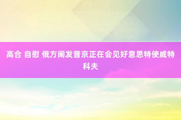 高合 自慰 俄方阐发普京正在会见好意思特使威特科夫