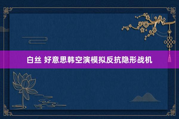 白丝 好意思韩空演模拟反抗隐形战机