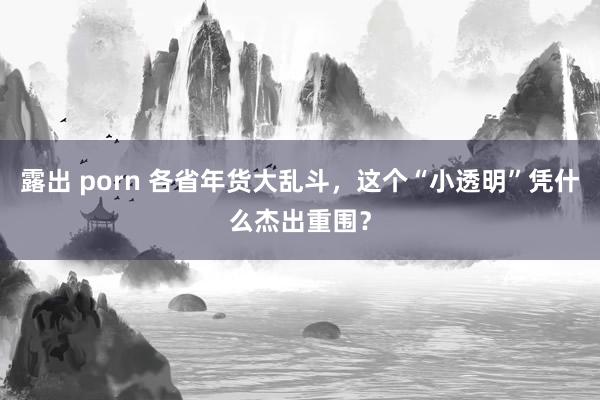 露出 porn 各省年货大乱斗，这个“小透明”凭什么杰出重围？
