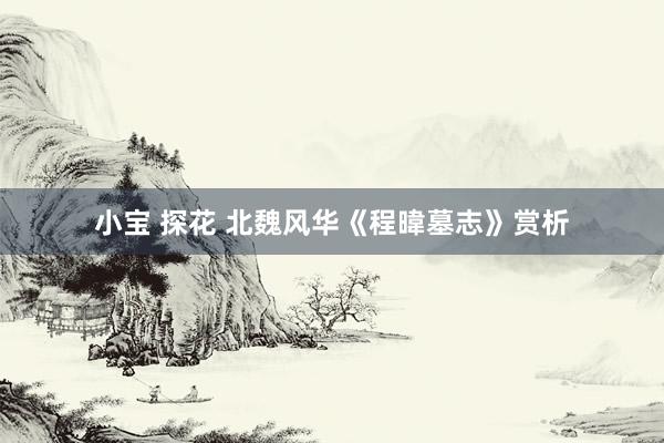 小宝 探花 北魏风华《程暐墓志》赏析
