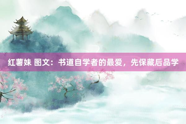 红薯妹 图文：书道自学者的最爱，先保藏后品学