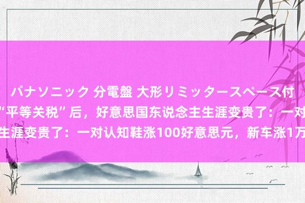 パナソニック 分電盤 大形リミッタースペース付 露出・半埋込両用形 “平等关税”后，好意思国东说念主生涯变贵了：一对认知鞋涨100好意思元，新车涨1万好意思元