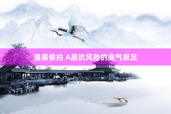 漫展偷拍 A股抗风险的底气很足